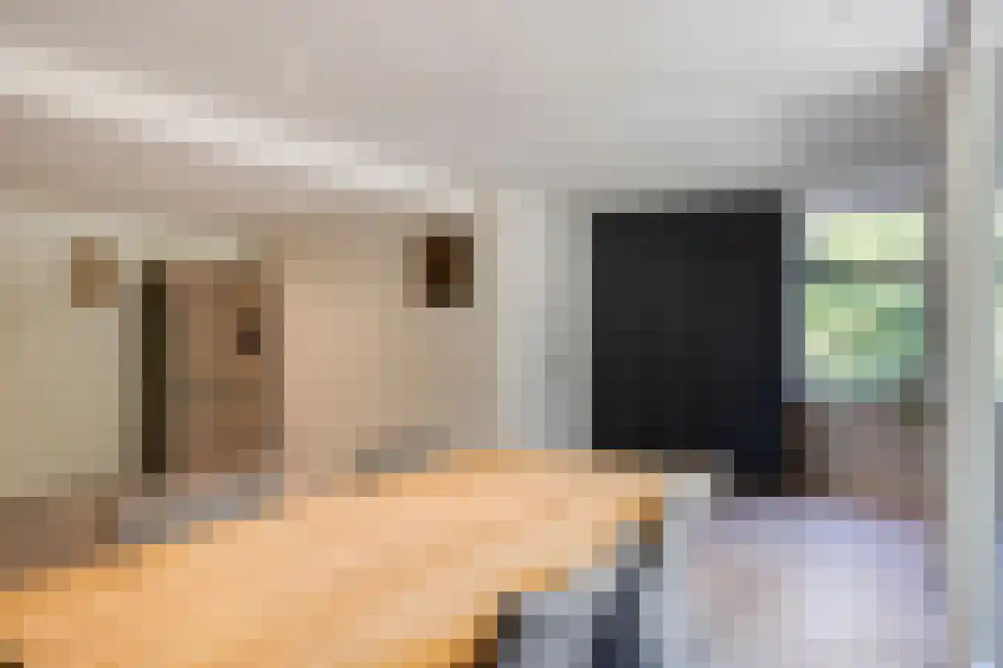 Westeinde 303 Berkhout thumbnail 31