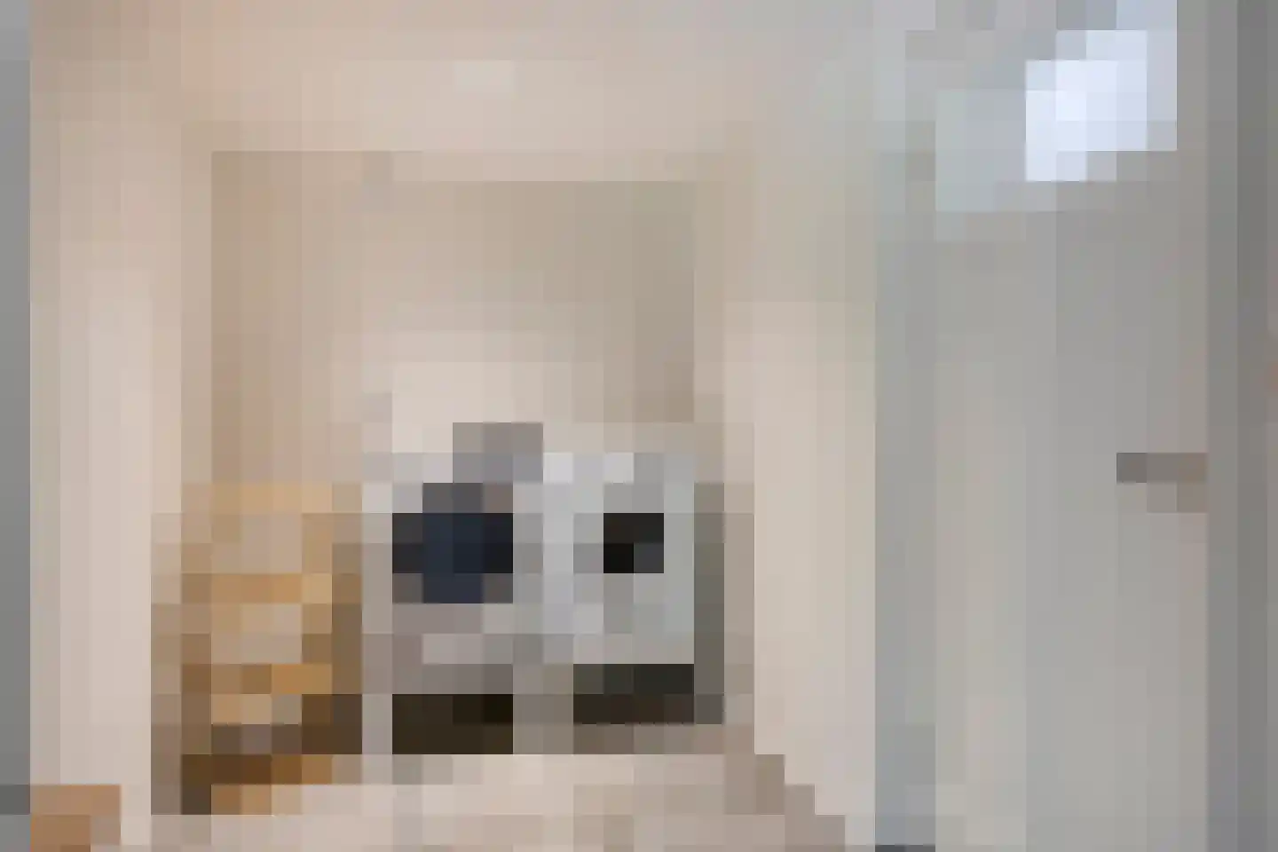 Westeinde 303 Berkhout thumbnail 32