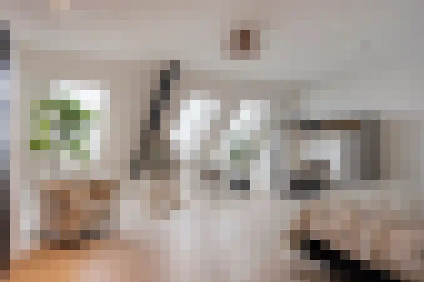 Westeinde 303 Berkhout thumbnail 39