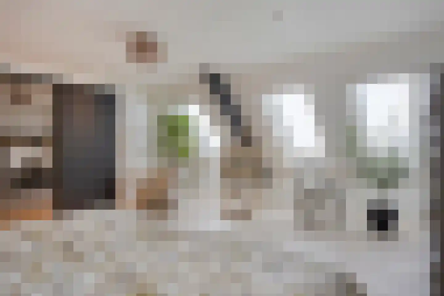 Westeinde 303 Berkhout thumbnail 40