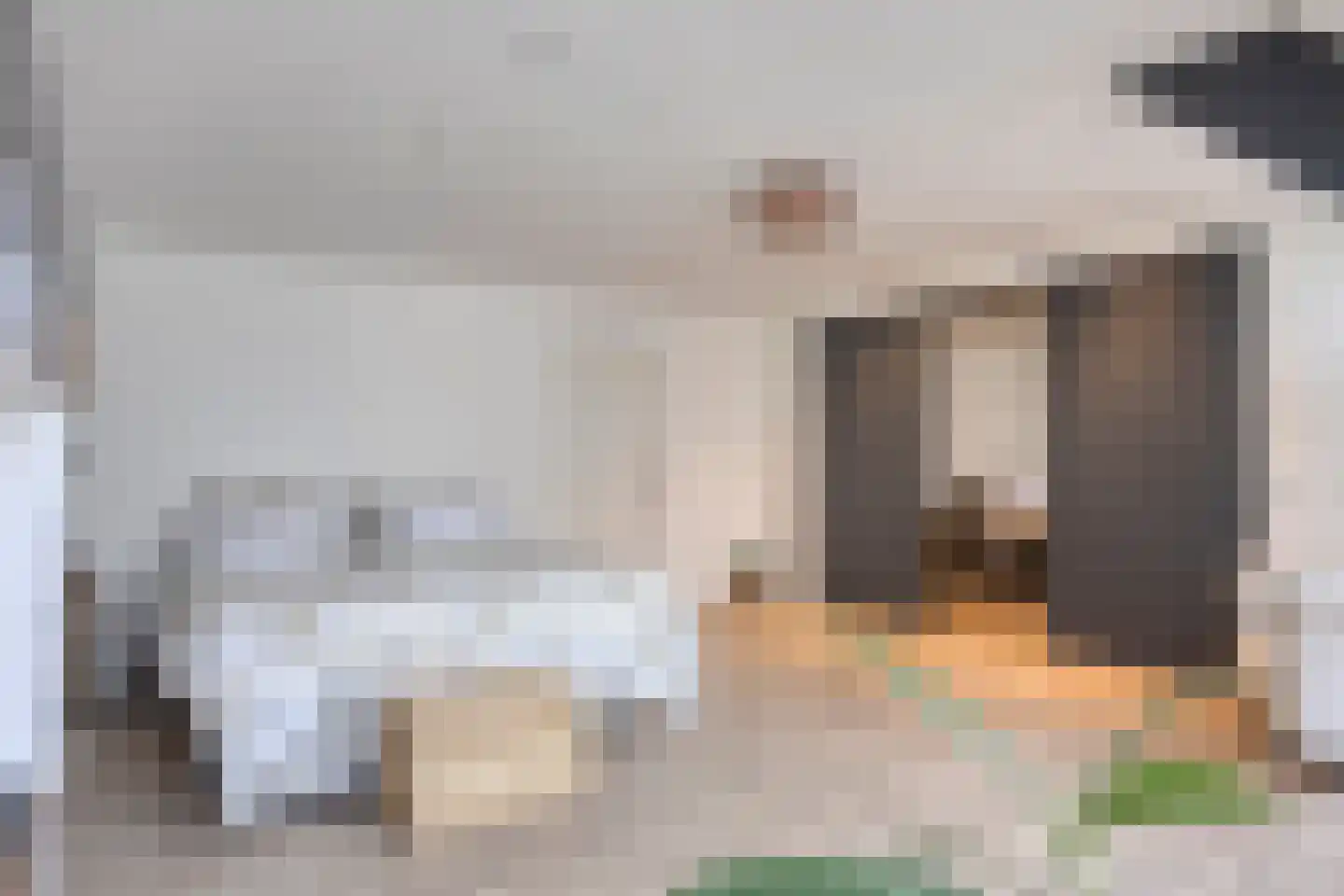 Westeinde 303 Berkhout thumbnail 41