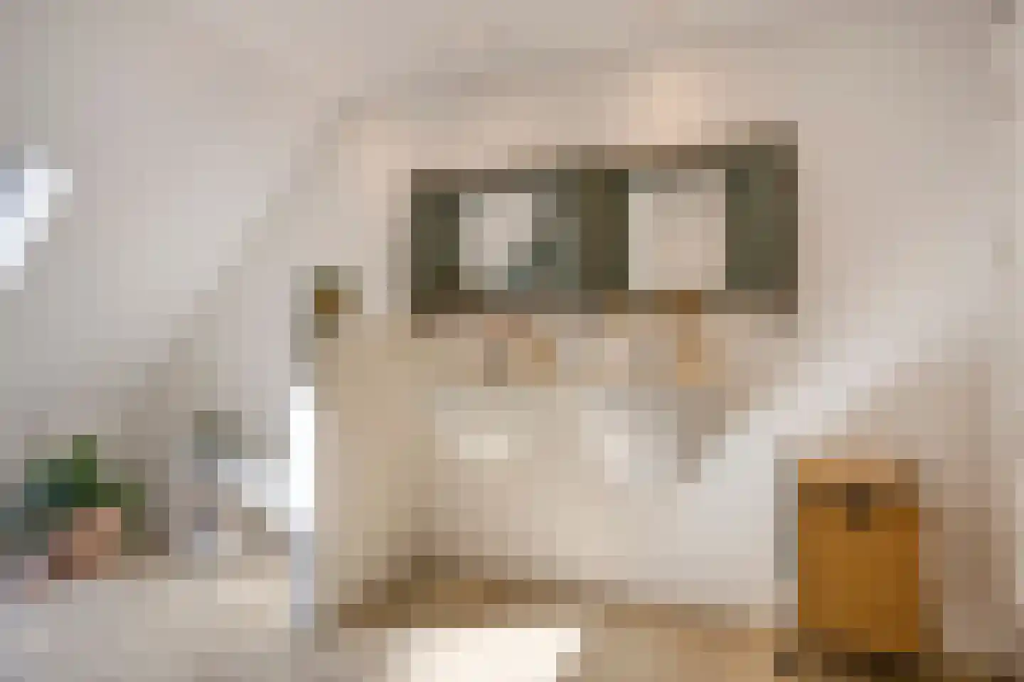 Westeinde 303 Berkhout thumbnail 44