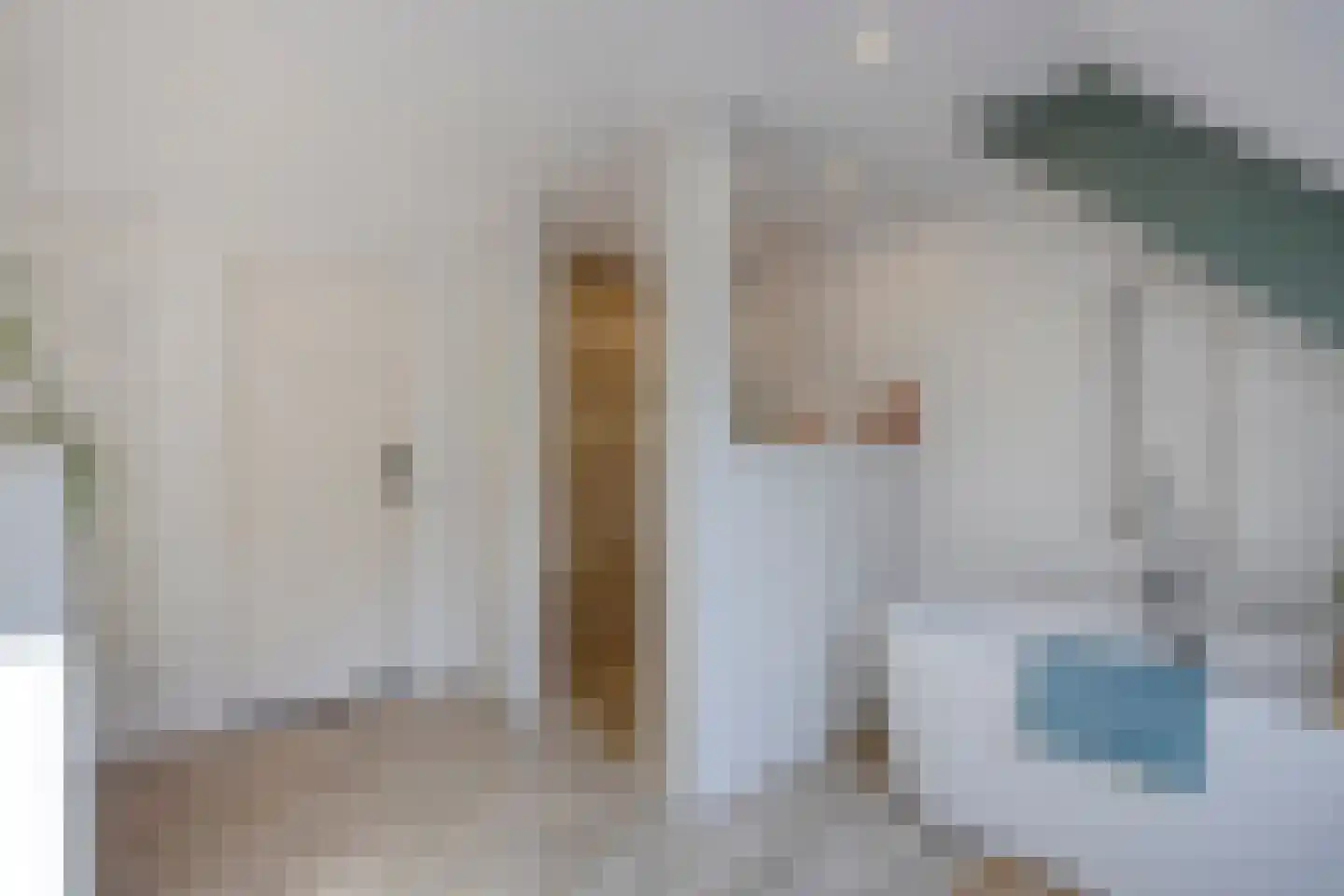 Westeinde 303 Berkhout thumbnail 47