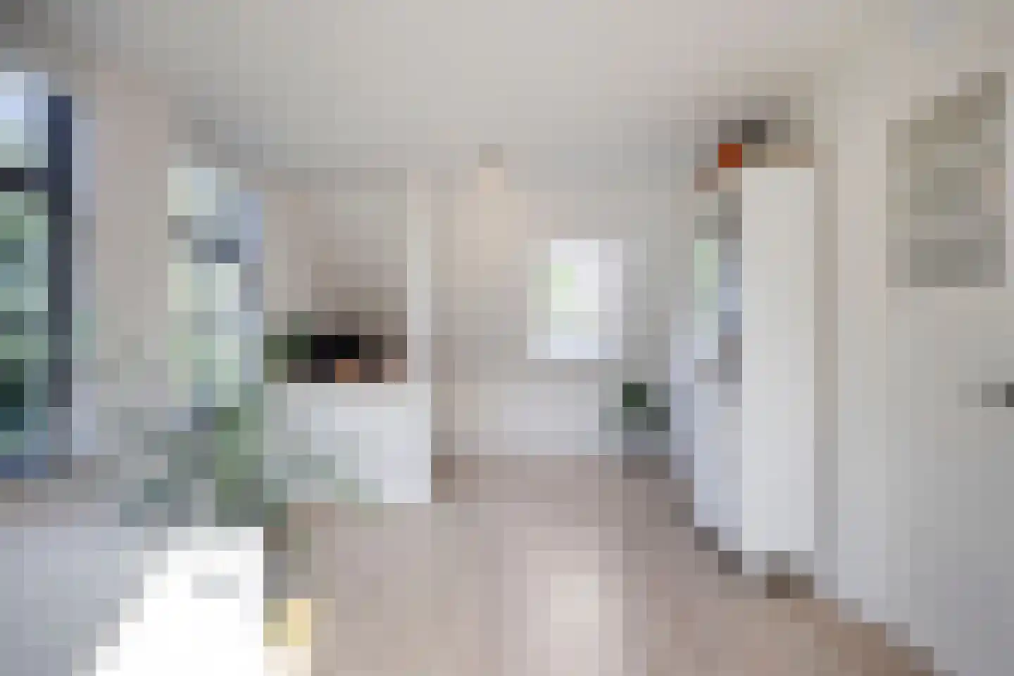 Westeinde 303 Berkhout thumbnail 48
