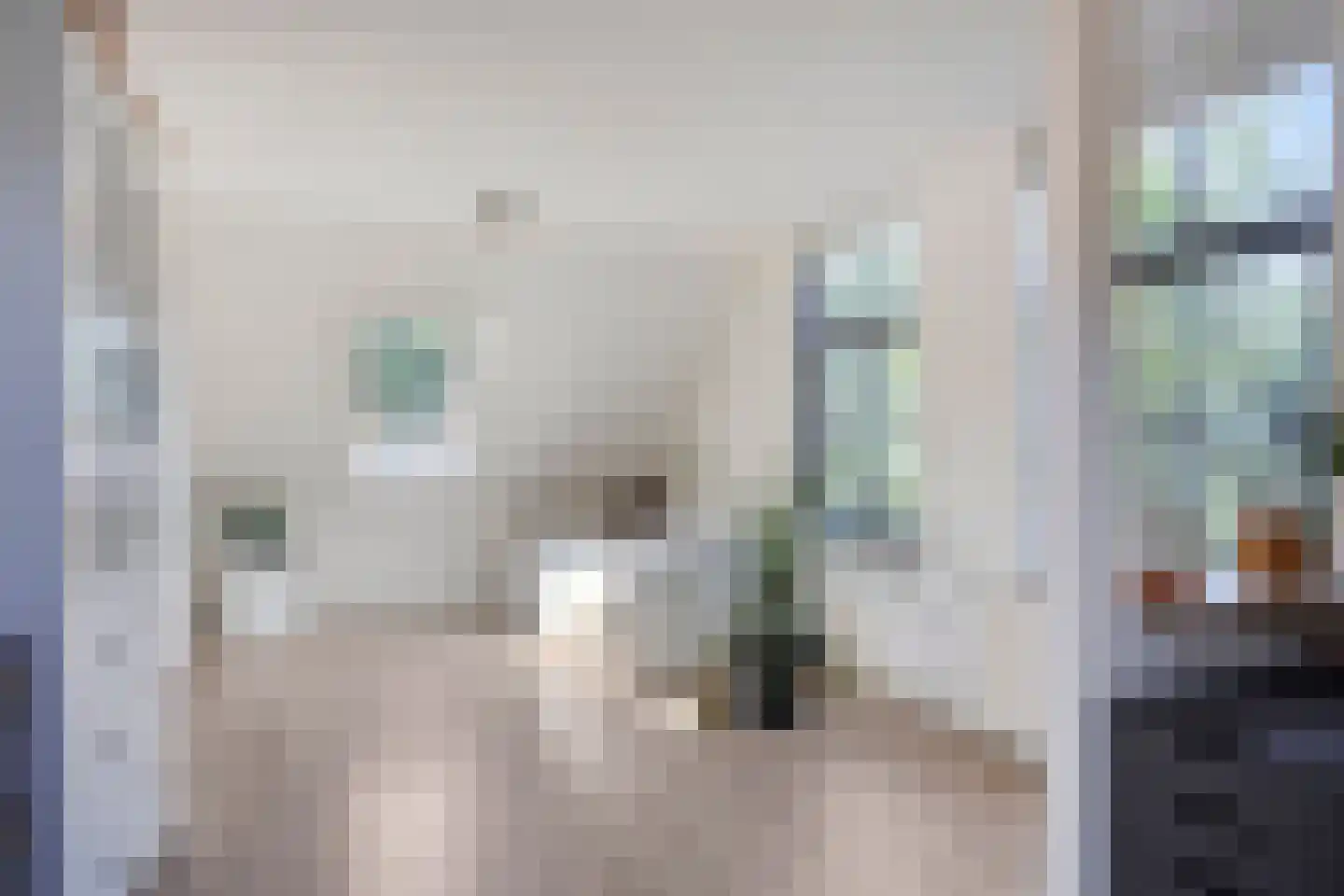 Westeinde 303 Berkhout thumbnail 49