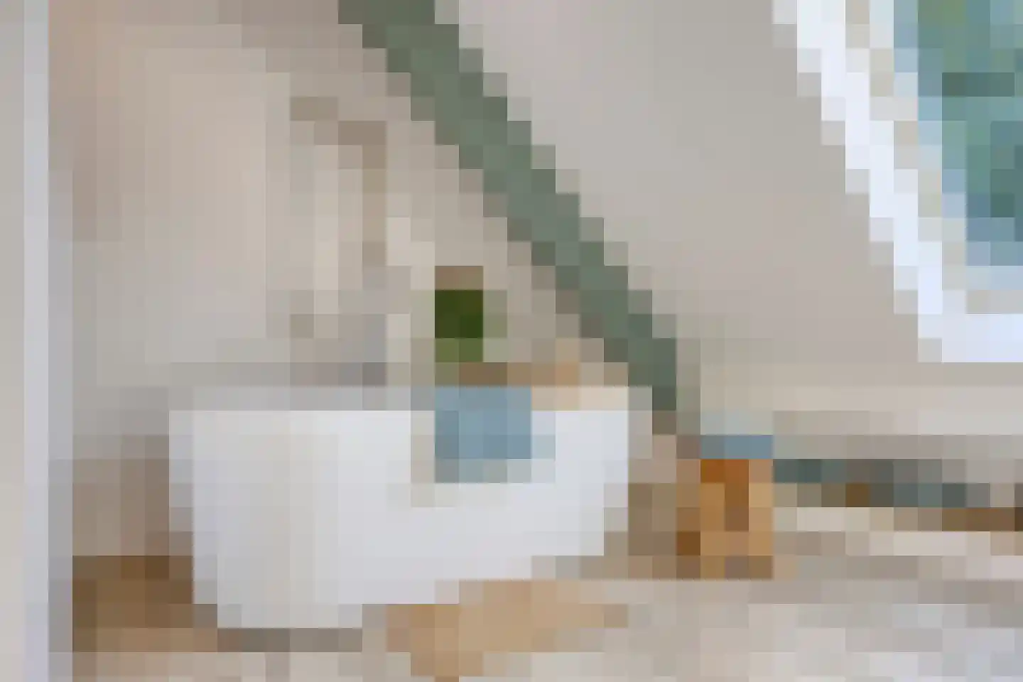 Westeinde 303 Berkhout thumbnail 5