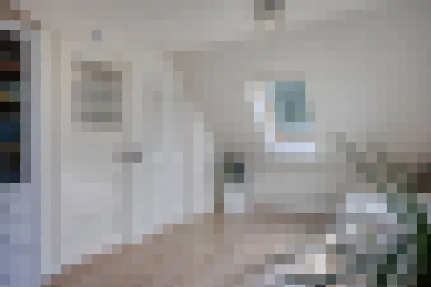 Westeinde 303 Berkhout thumbnail 50