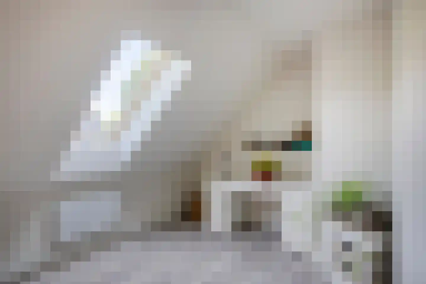 Westeinde 303 Berkhout thumbnail 51