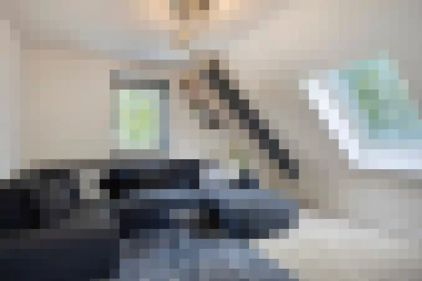 Westeinde 303 Berkhout thumbnail 54