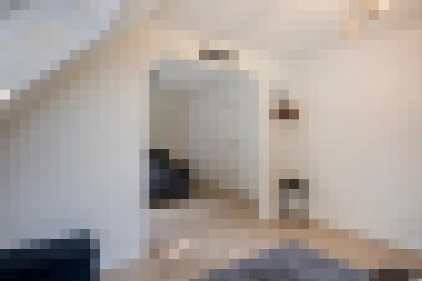 Westeinde 303 Berkhout thumbnail 55