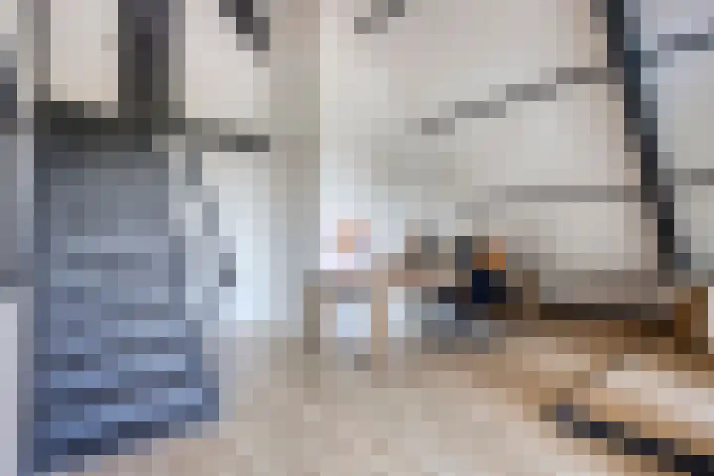 Westeinde 303 Berkhout thumbnail 57