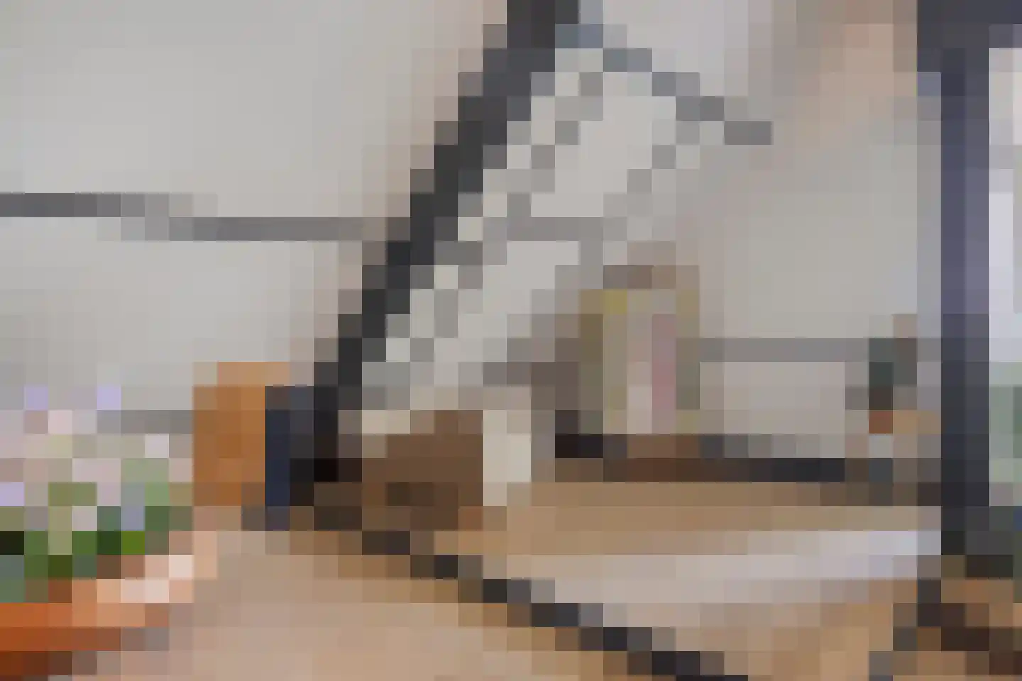 Westeinde 303 Berkhout thumbnail 58