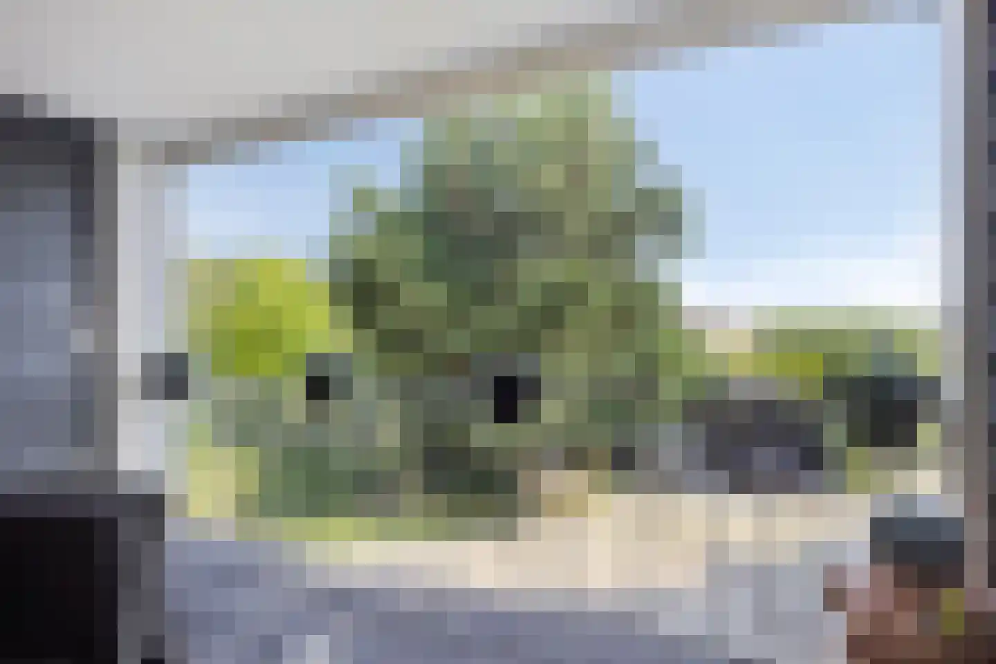 Westeinde 303 Berkhout thumbnail 60