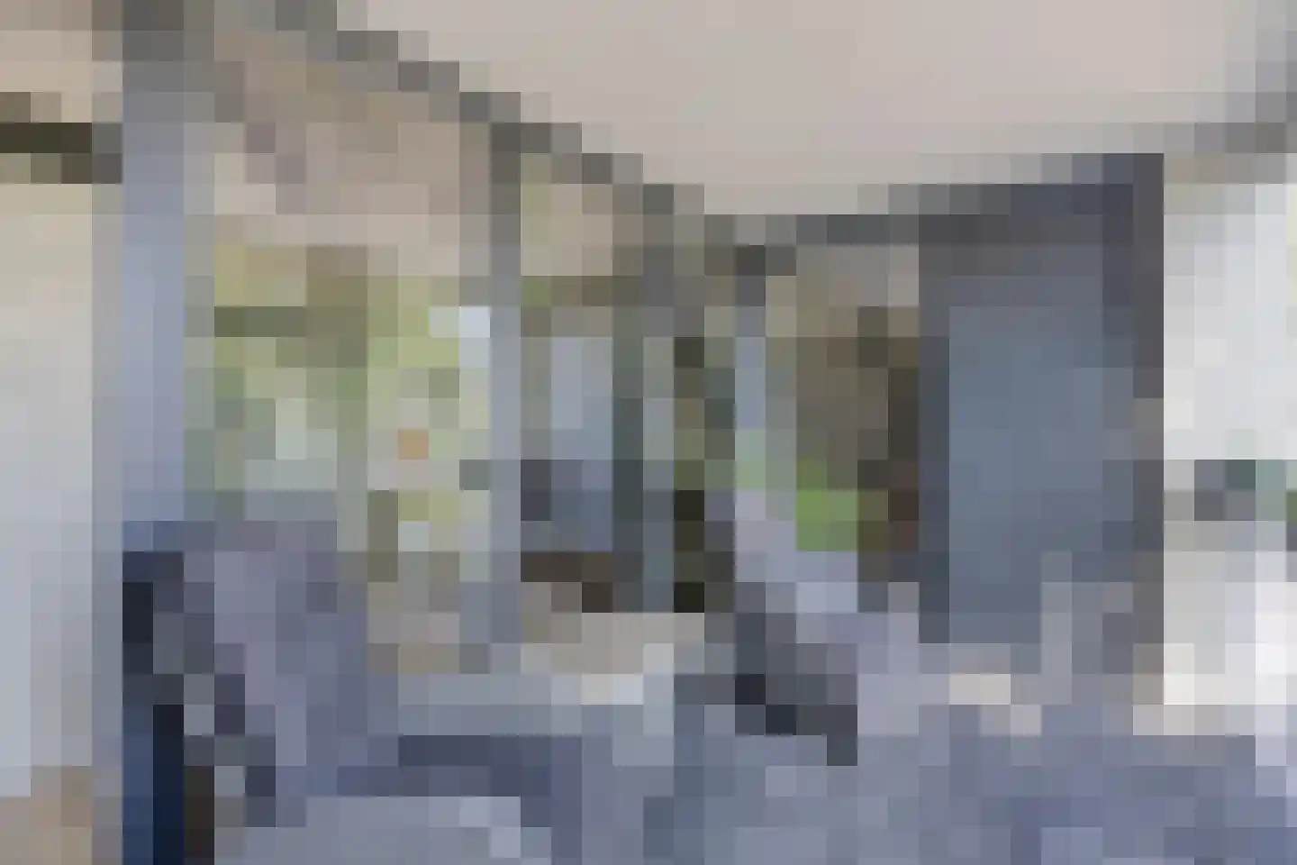 Westeinde 303 Berkhout thumbnail 61