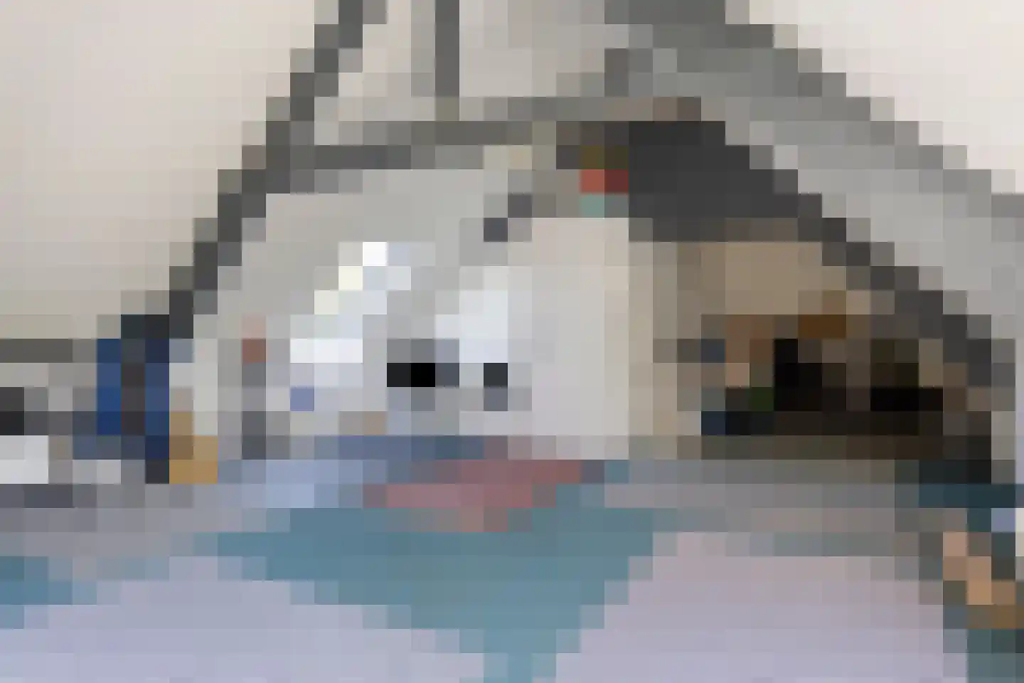 Westeinde 303 Berkhout thumbnail 63