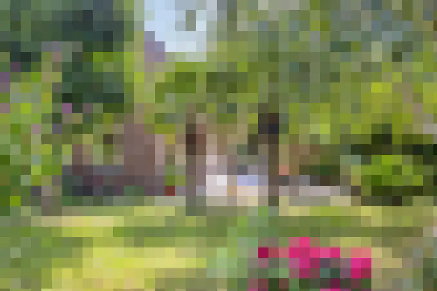 Westeinde 303 Berkhout thumbnail 65