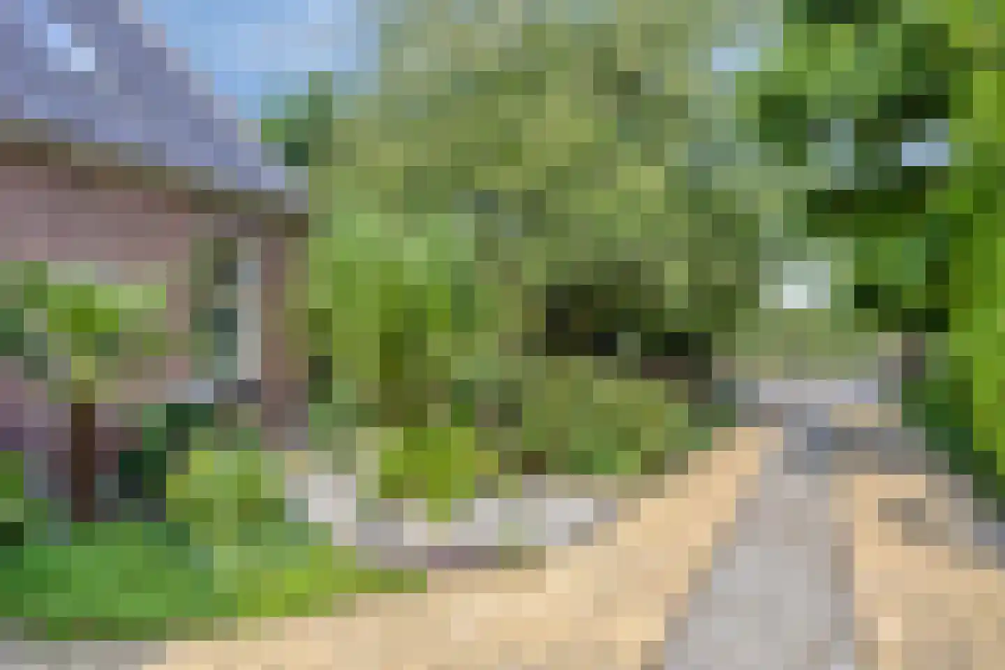 Westeinde 303 Berkhout thumbnail 66