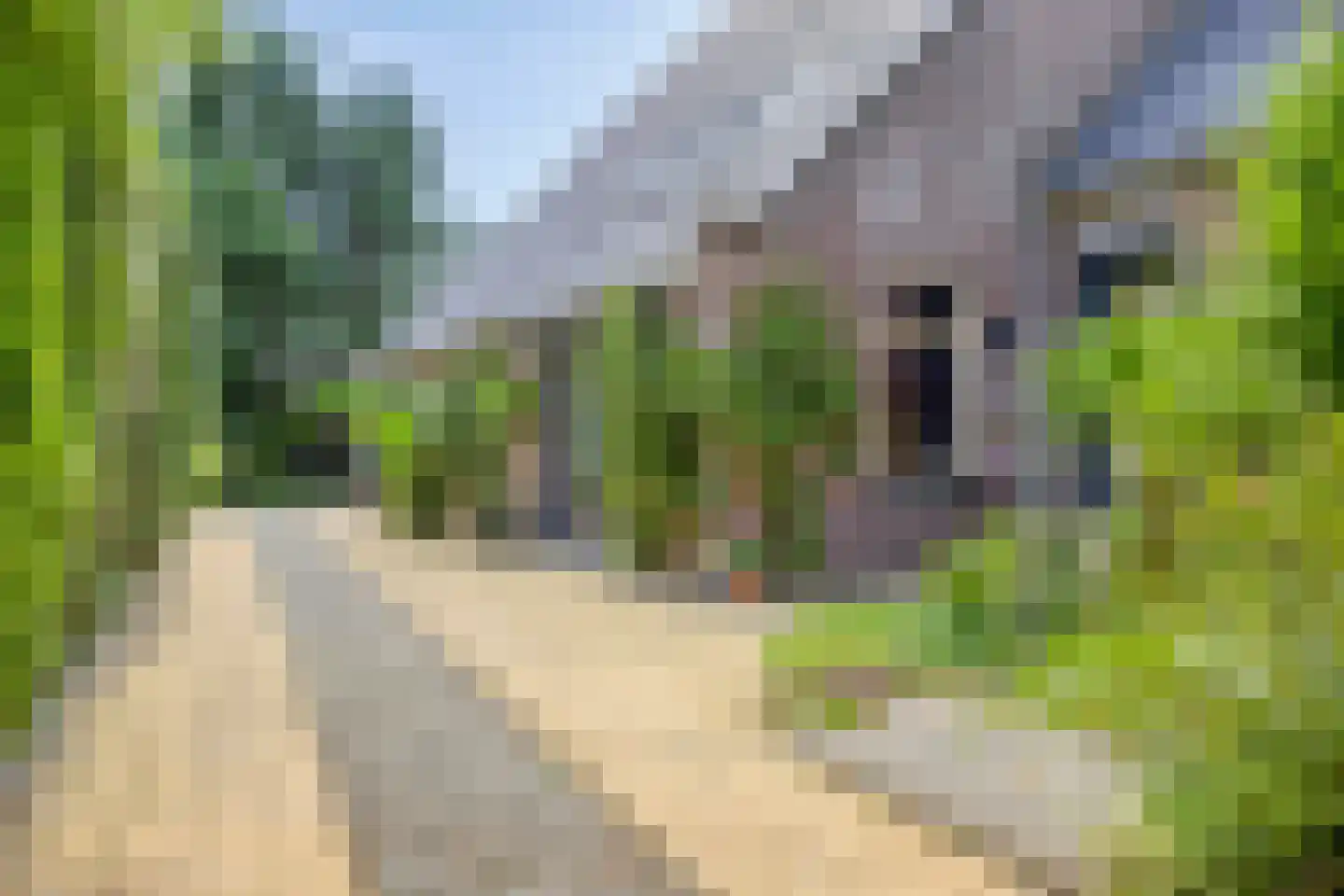 Westeinde 303 Berkhout thumbnail 67