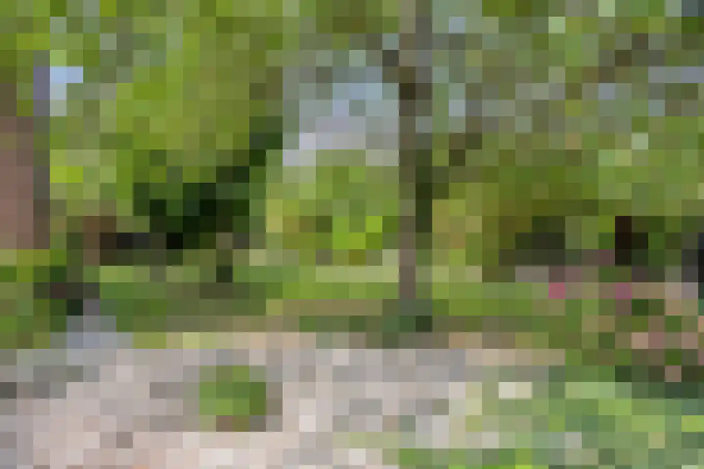 Westeinde 303 Berkhout thumbnail 69
