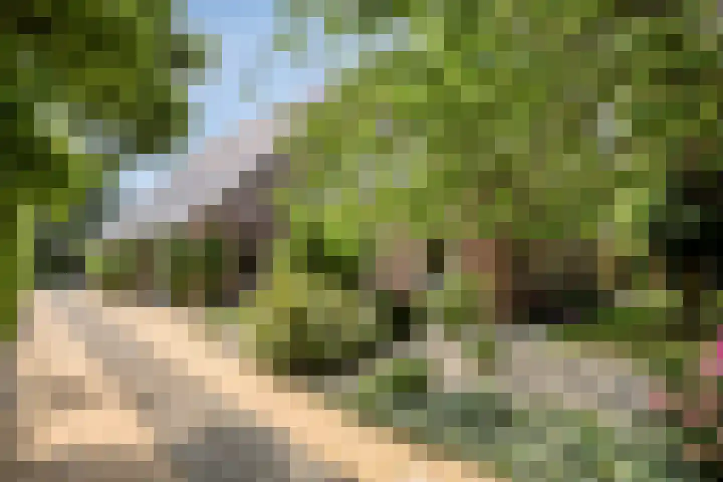 Westeinde 303 Berkhout thumbnail 7