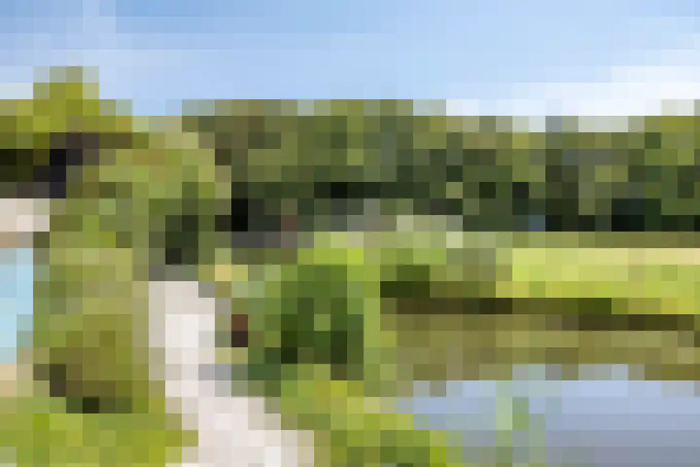 Westeinde 303 Berkhout thumbnail 72