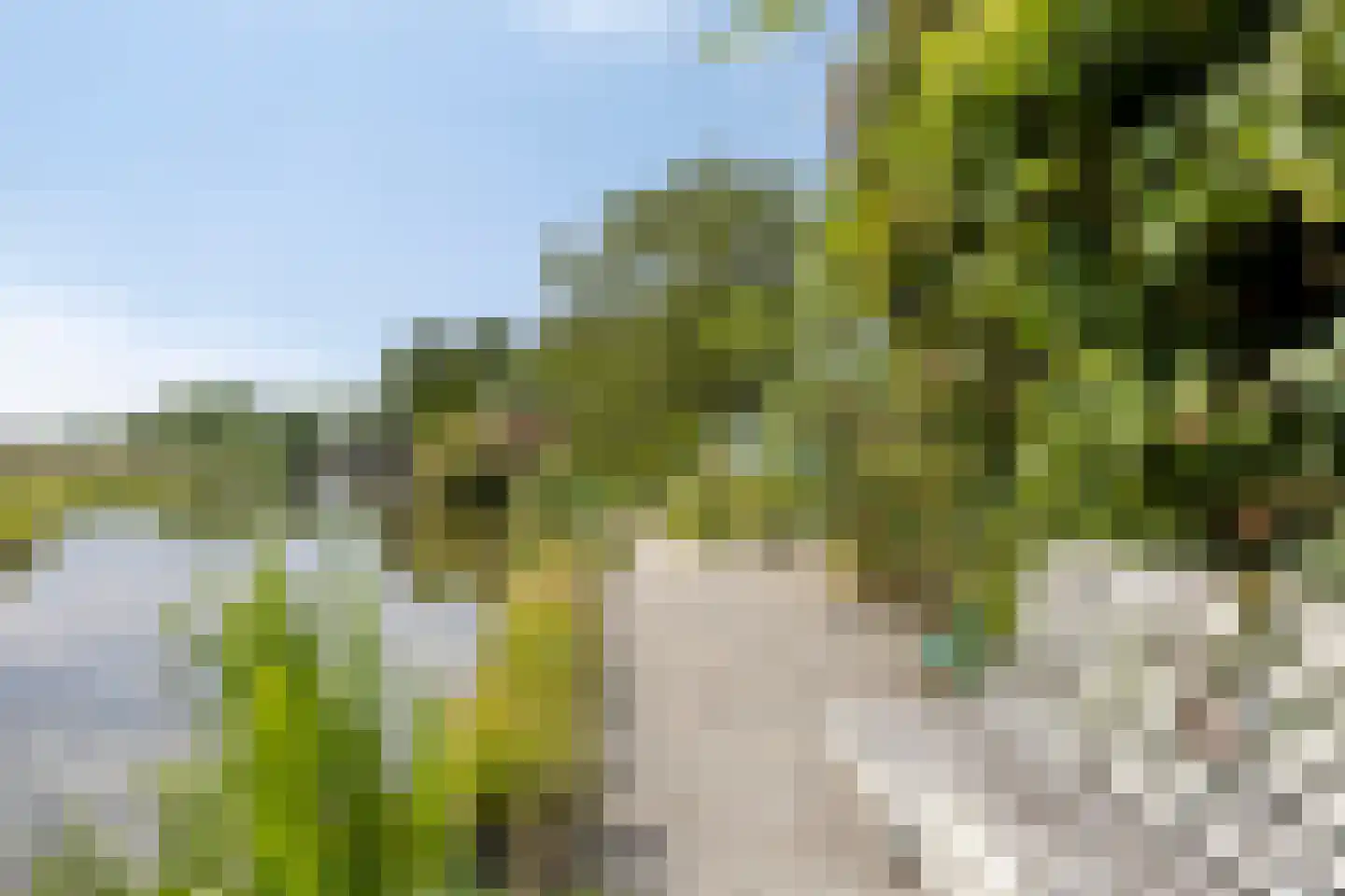 Westeinde 303 Berkhout thumbnail 73