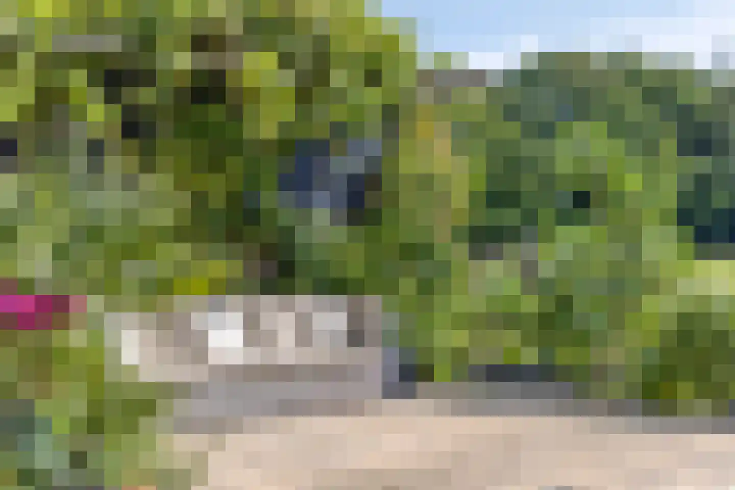 Westeinde 303 Berkhout thumbnail 76