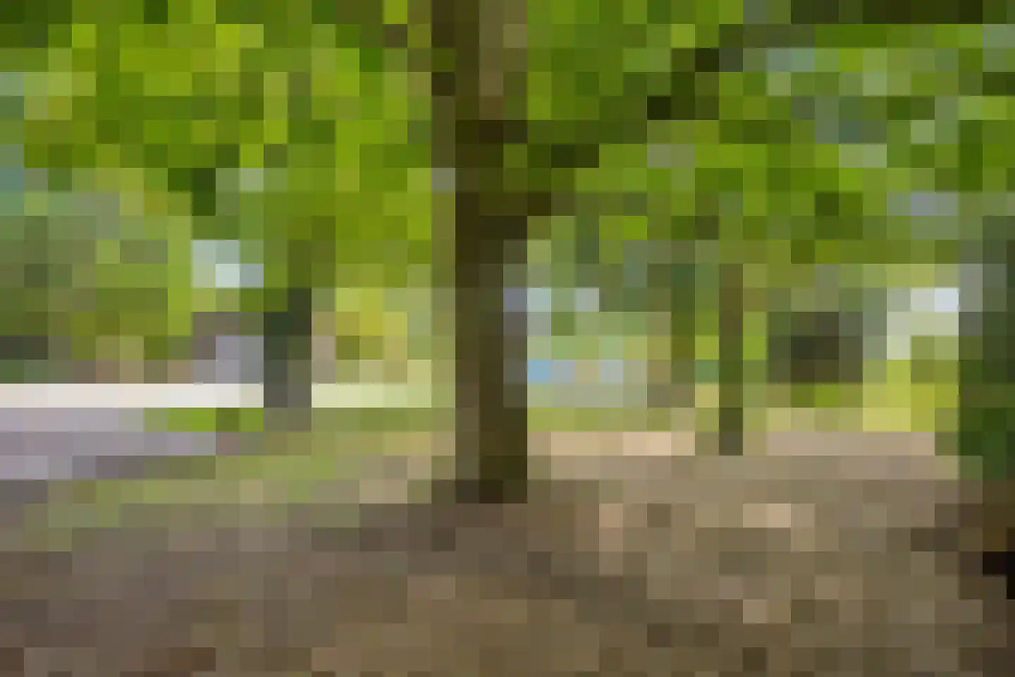 Westeinde 303 Berkhout thumbnail 78