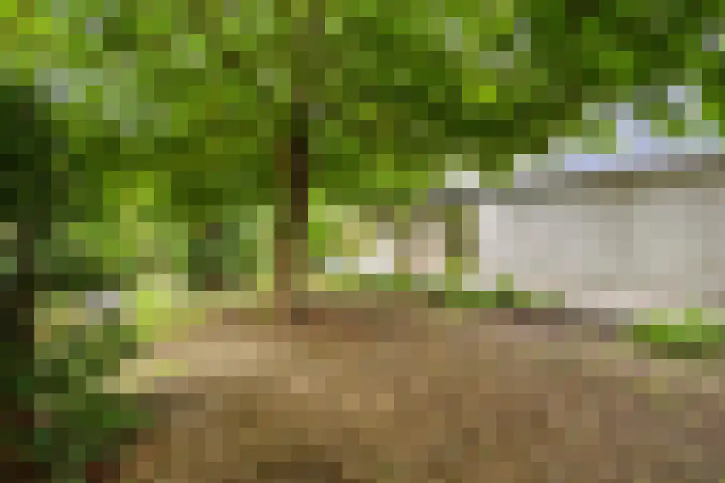 Westeinde 303 Berkhout thumbnail 79