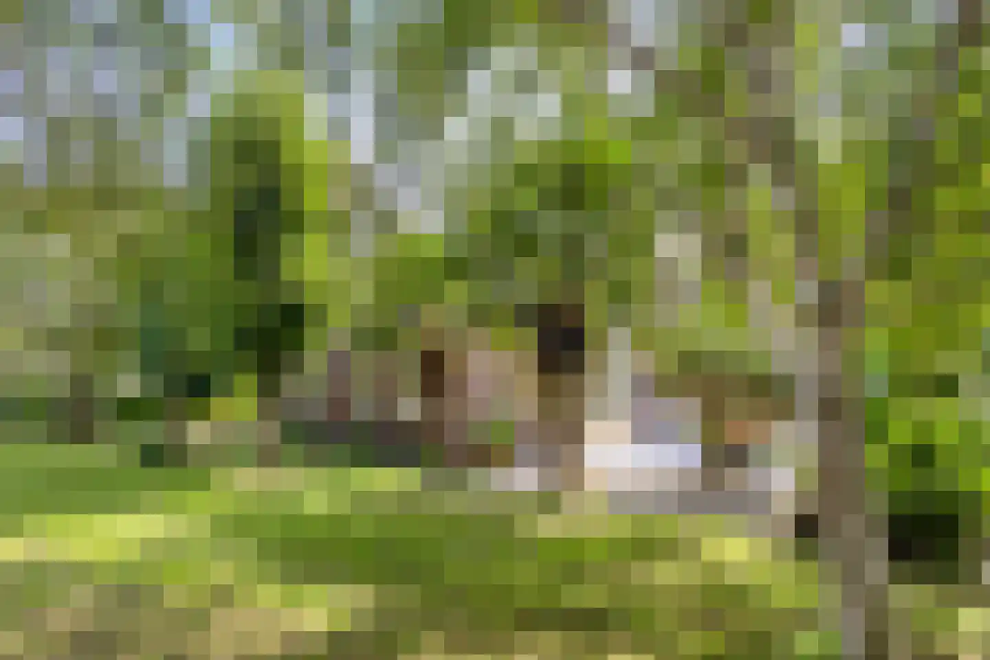 Westeinde 303 Berkhout thumbnail 8