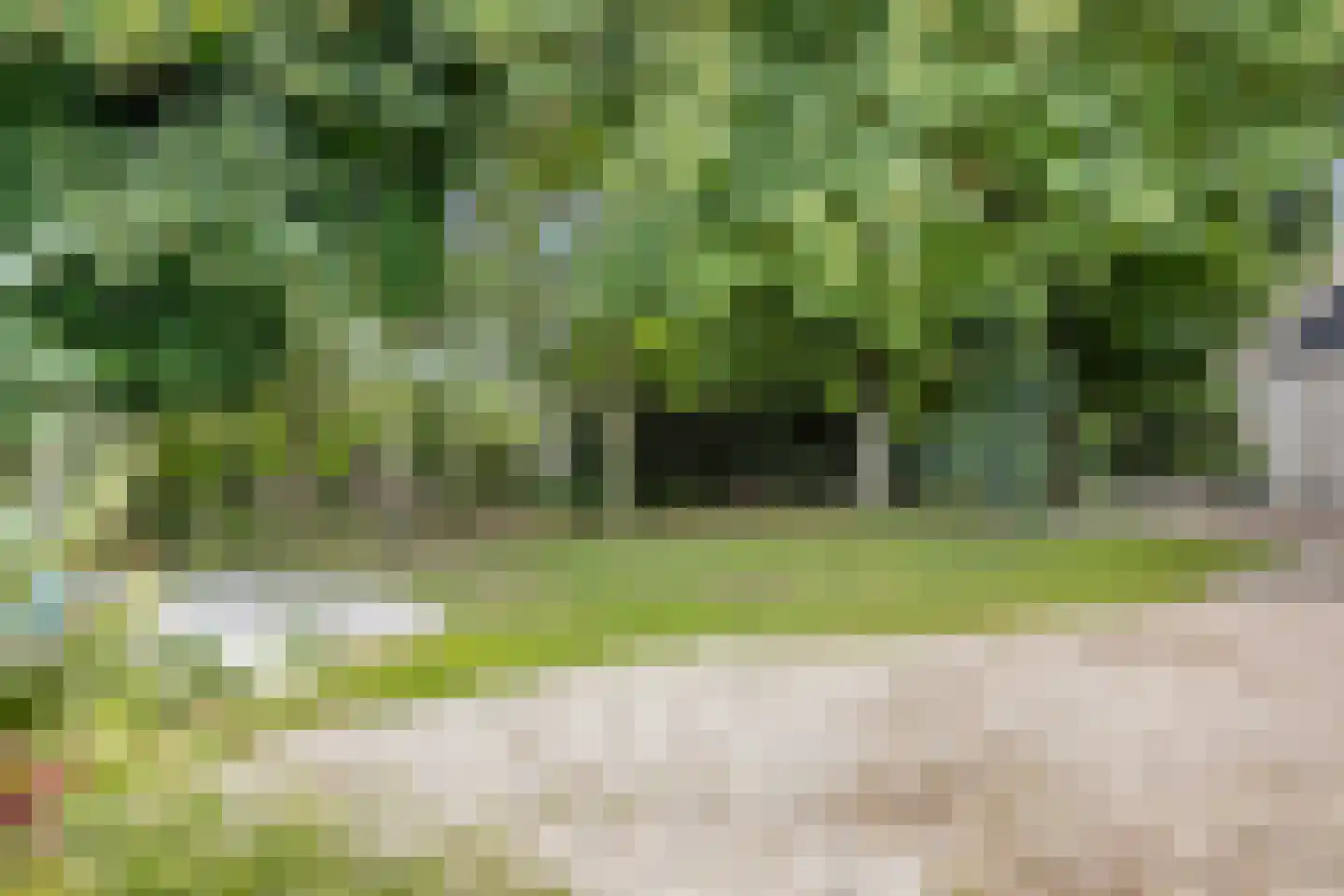 Westeinde 303 Berkhout thumbnail 80