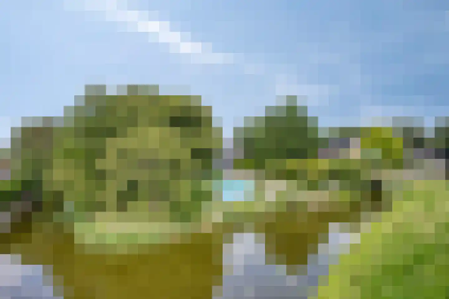 Westeinde 303 Berkhout thumbnail 82