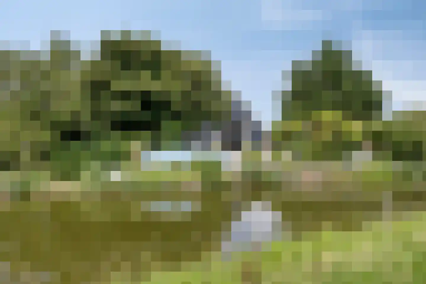 Westeinde 303 Berkhout thumbnail 84