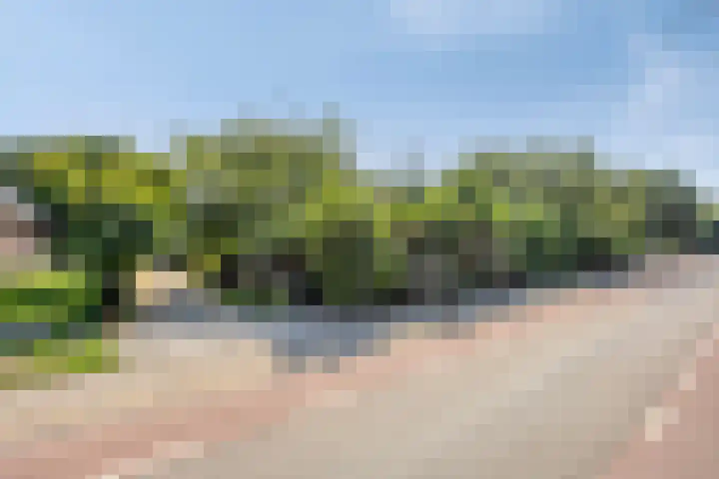 Westeinde 303 Berkhout thumbnail 86
