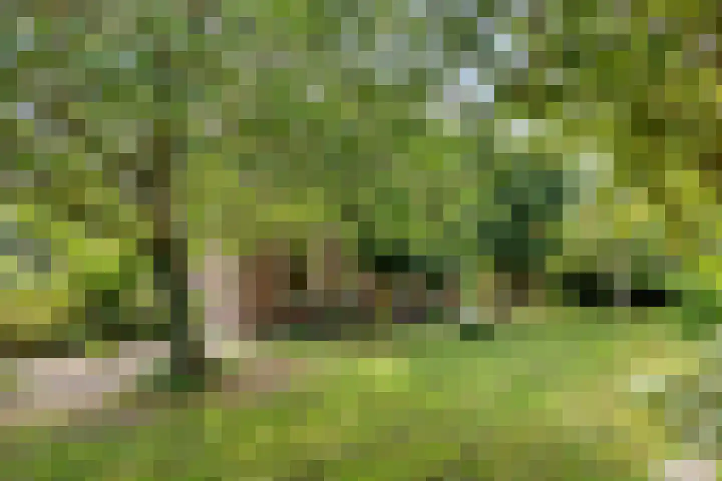 Westeinde 303 Berkhout thumbnail 9