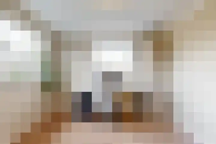 Westeinde 305 Berkhout thumbnail 14