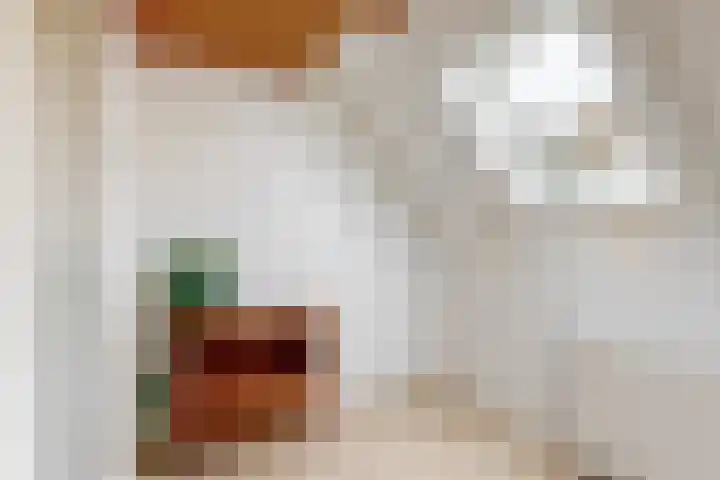 Westeinde 305 Berkhout thumbnail 17