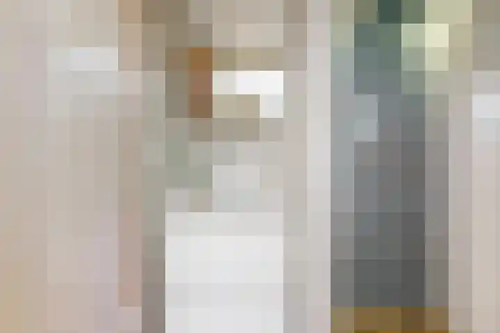 Westeinde 305 Berkhout thumbnail 22