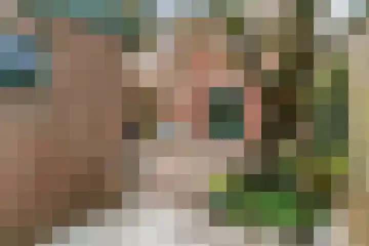 Westeinde 305 Berkhout thumbnail 28