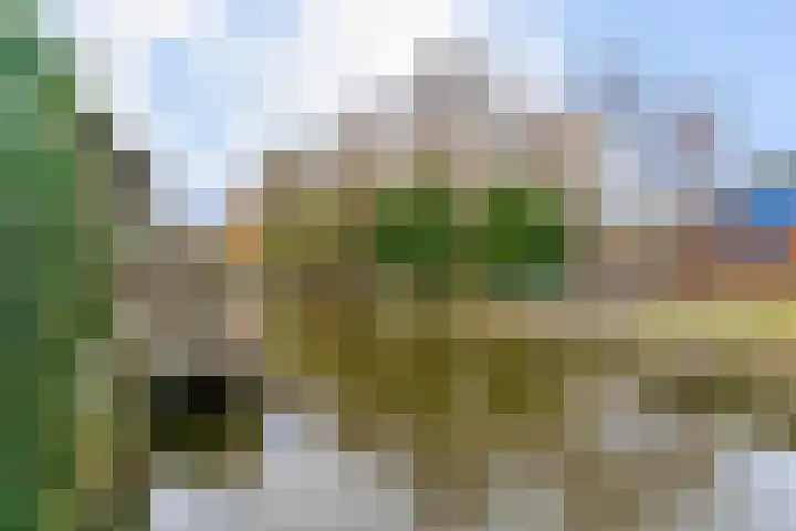 Westeinde 305 Berkhout thumbnail 29