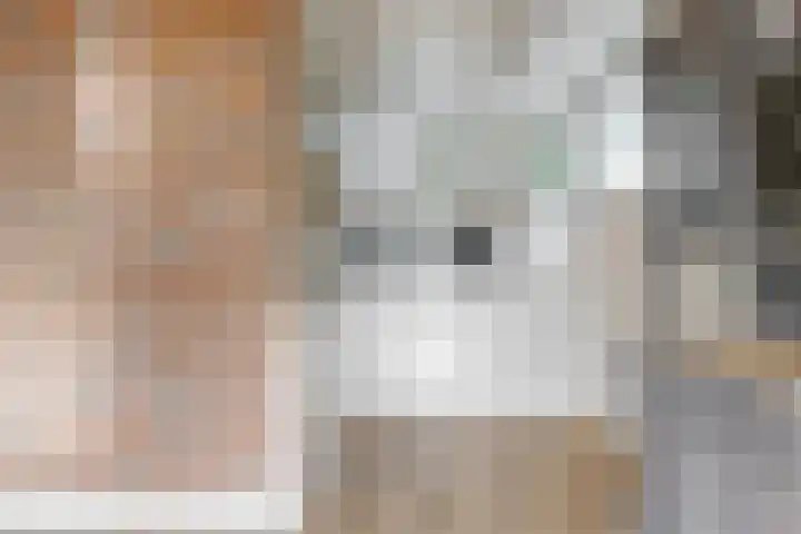 Westeinde 305 Berkhout thumbnail 7