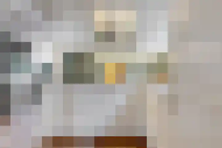 Westeinde 305 Berkhout thumbnail 8