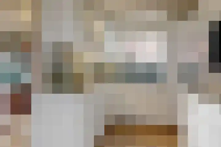 Westeinde 305 Berkhout thumbnail 9
