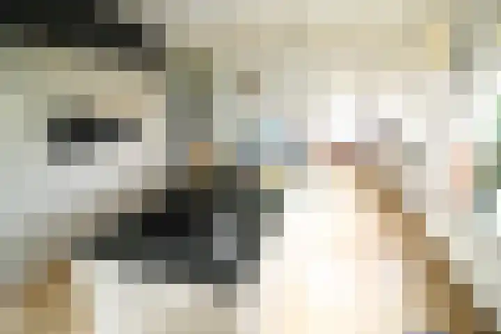 Westeinde 320 Vriezenveen thumbnail 13