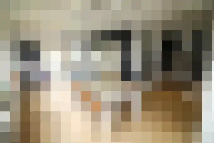 Westeinde 320 Vriezenveen thumbnail 14