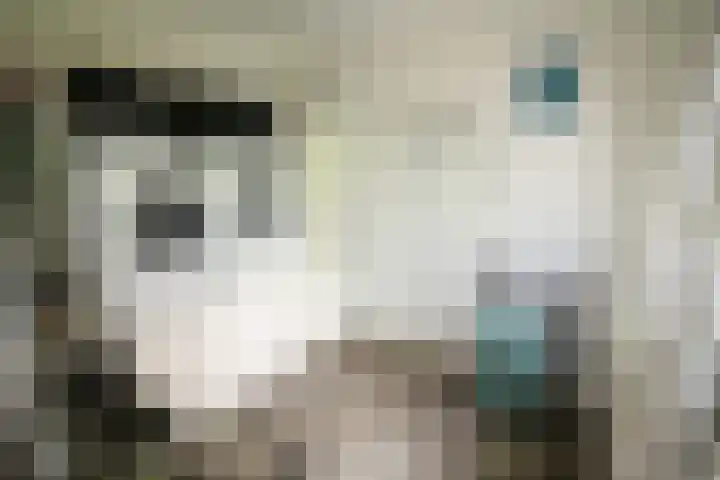 Westeinde 320 Vriezenveen thumbnail 22