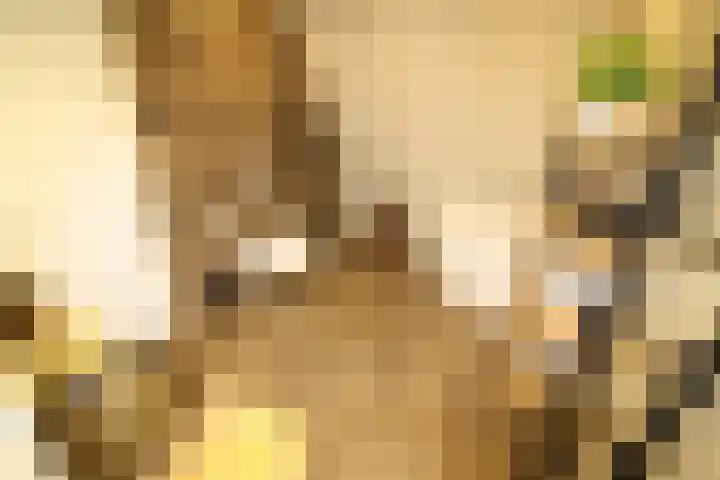 Westeinde 320 Vriezenveen thumbnail 31