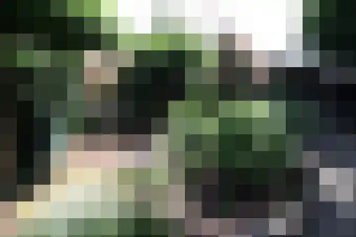 Westeinde 320 Vriezenveen thumbnail 47