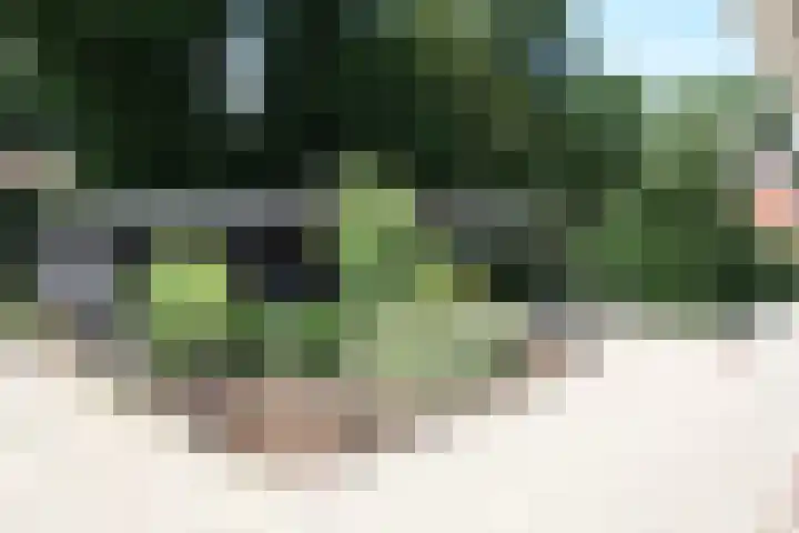Westeinde 320 Vriezenveen thumbnail 49