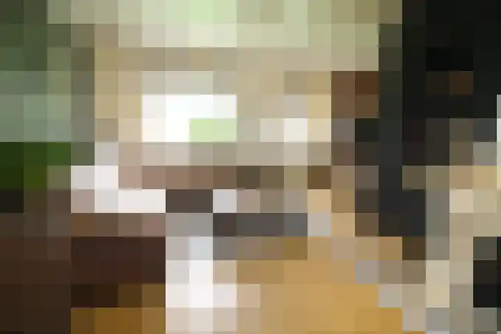 Westeinde 320 Vriezenveen thumbnail 6